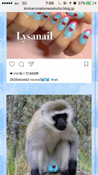 ＴＢＳ《カルテット》火曜 後１０時