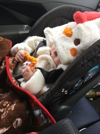 赤ちゃんがみたい