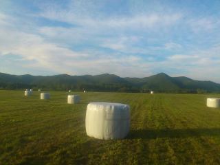 那須の畑にある巨大な白いミルキーの塊みたいなのってなんですか？