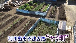 中国人らが10年以上にわたって国有地を不法に占有　立ち退き応じず強制撤去【千葉県】