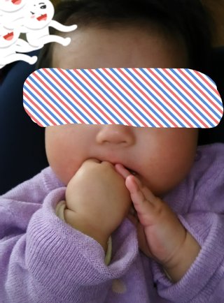 赤ちゃんがみたい