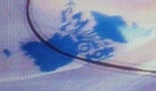 辺野古で警官蹴った疑い　抗議活動参加か、沖縄県警が男逮捕【沖縄県】