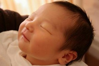 赤ちゃんがみたい