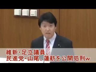 【動画】維新・足立康史「蓮舫さんの国籍離脱発言が嘘だったら、参議院議員を辞任していただきたい」