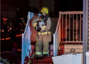 飼い猫が深夜の火事から家族を救出！「逃げて」と飼い主を噛んで起こす【カナダ】