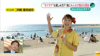 【総合】沖縄【作ったさ～】