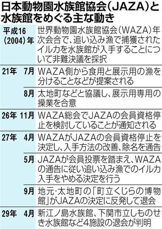 新江ノ島水族館など４水族館がJAZAを脱会　国際圧力に屈しない“姿勢”とイルカ入手体系“確立”