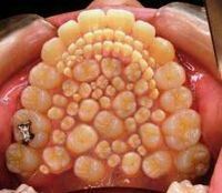 ペンギンの口の中…