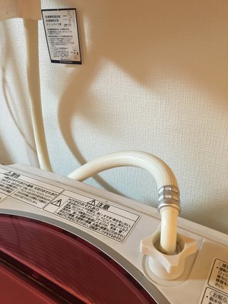 引っ越した家の洗面所がなんか臭い(事故物件？死臭？)