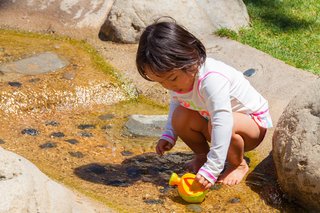 噴水、女児の股間直撃し重傷　水圧の威力、注意を