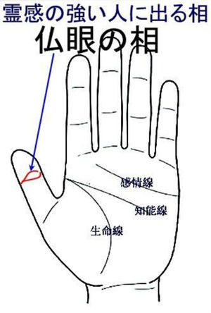 霊感体質の人