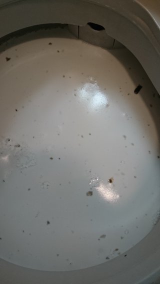 ワイドハイター(粉)で洗濯槽掃除したら