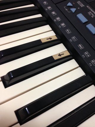 キーボード詳しい人〔楽器