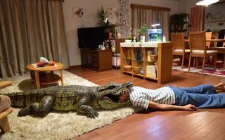 栄倉奈々が「夫が帰ると必ず死んだふり」する妻に