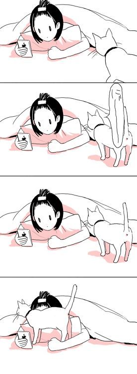 猫について何でもどうぞ【ねこ総合】