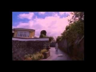 大分麦焼酎二階堂CM