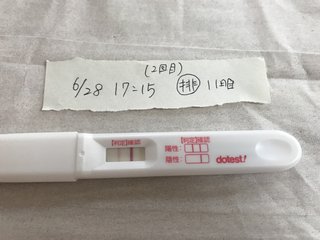 【画像あり】アドバイスお願いします！！