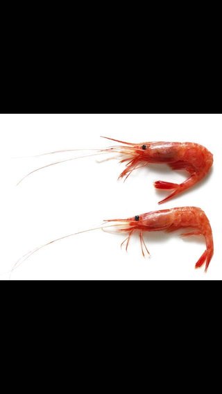 最近、海老ちゃんそっくりと言われる～