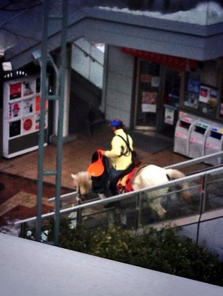 思わず二度見した物（人）ある？