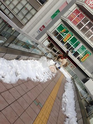 思わず二度見した物（人）ある？