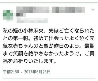 麻央さん死去“第一報”なりすましツイート被害の弁護士はネット有名人