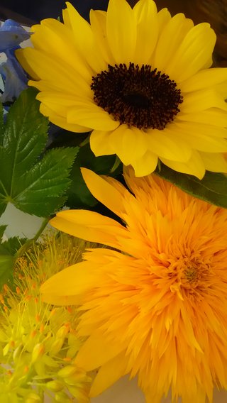 石田ゆり子綺麗だけど