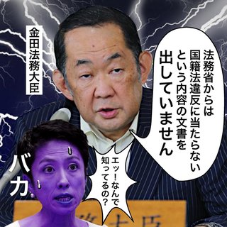 蓮舫って嘘つきだね【蓮舫の自らの国籍に関する発言まとめ】