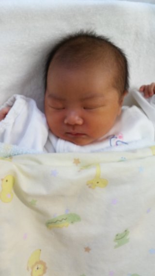 赤ちゃんがみたい