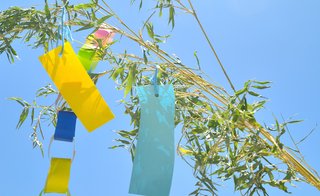 【風習】なぜ七夕の短冊に願い事を書くようになったか知っていますか？