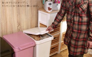 猫について何でもどうぞ【ねこ総合】