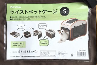 猫について何でもどうぞ【ねこ総合】