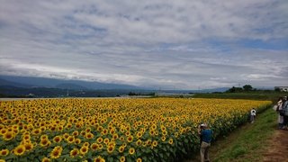 トルコ班★☆(*´з`*)☆★ 