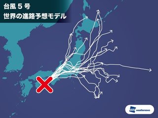 至急お願いします！