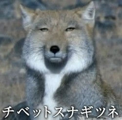 YouTubeでアンパンマンのおもちゃ紹介してる姉妹