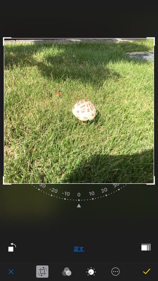 公園でバーベキューの男性　園内の毒キノコ焼いて食べる　３人入院　名古屋