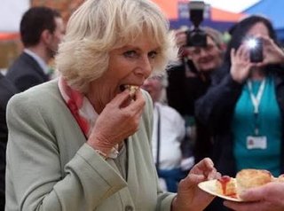 カミラ夫人、勝手に女王のティアラを借用