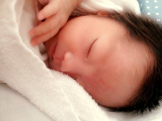 赤ちゃんがみたい