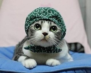 セックスレスの夫婦