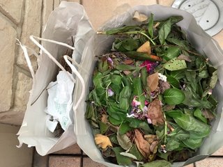 松居一代  IDアリ 多少のトピずれ・自分語りOK・人生いろいろ