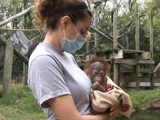 過去形で言うと願いが叶う