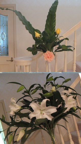 松居一代IDアリ