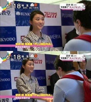 武井咲って今一番の正統派美人だよね