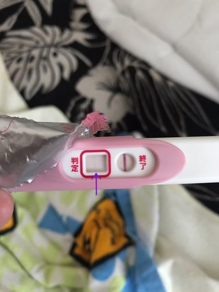 妊娠検査薬 陽性→陰性