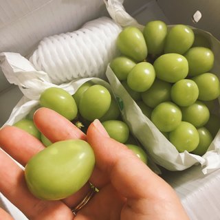 どうでもいい報告してください