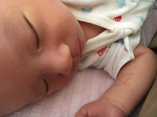 赤ちゃんがみたい