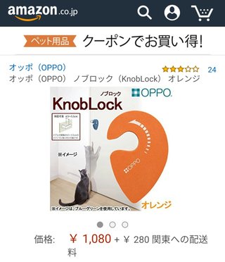 猫について何でもどうぞ【ねこ総合】