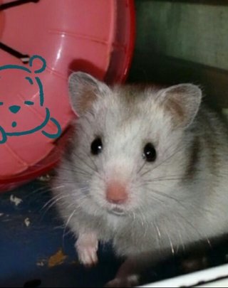 松居一代  IDアリ 多少のトピずれ・自分語りOK・人生いろいろ