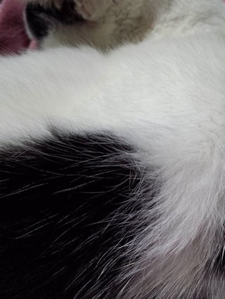 松居一代  IDアリ 多少のトピずれ・自分語りOK・人生いろいろ