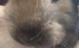 みんな口元写真撮ってみて！