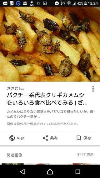 カメムシの季節到来